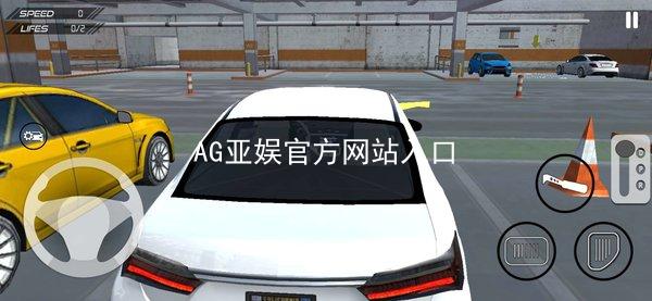 AG亚娱官方网站入口