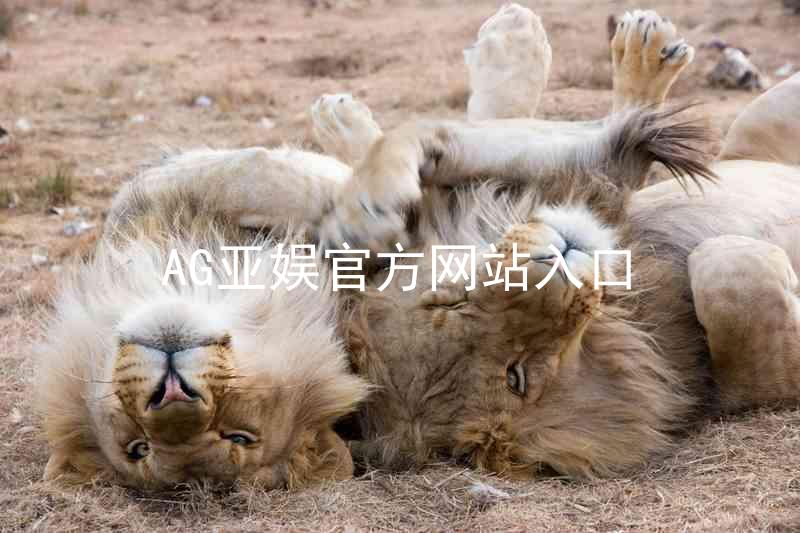 AG亚娱官方网站入口